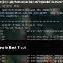 cms_explorer2
